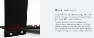 SAB - BLACKBIRD BALZ PRO 965 / MAST 85