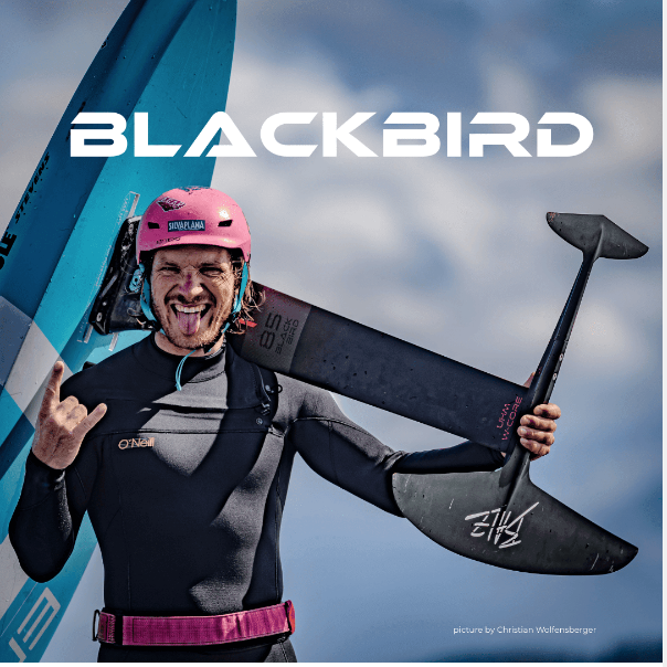 SAB - BLACKBIRD BALZ PRO 965 / MAST 85