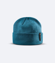 Load image into Gallery viewer, Thinsulate Beanie
